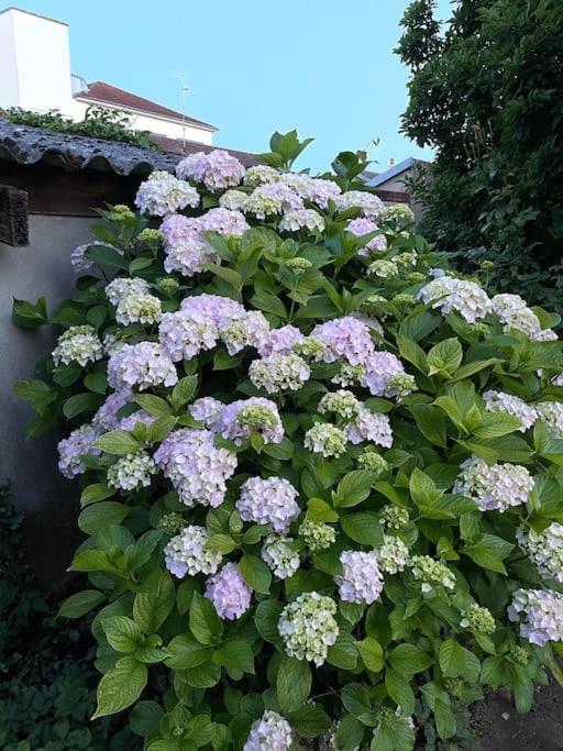 La Casa Del Papa - Maison Spacieuse Avec Jardin โดล ภายนอก รูปภาพ